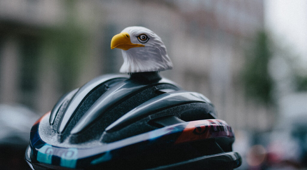 Eagle head on a bicycling helmet