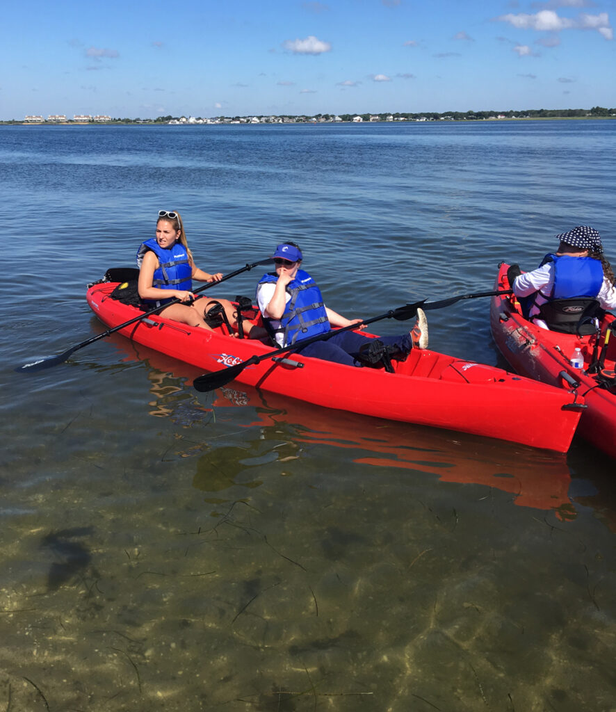 Teams paddle near the shore.